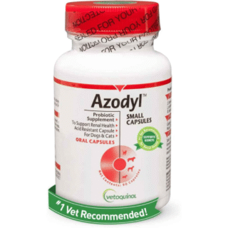 Kidney / Renal Function Support
